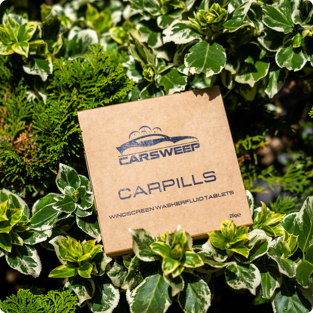<h2>WAAROM  CARPILLS?</h2>