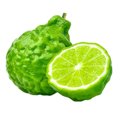 BERGAMOT