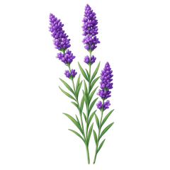 LAVENDEL