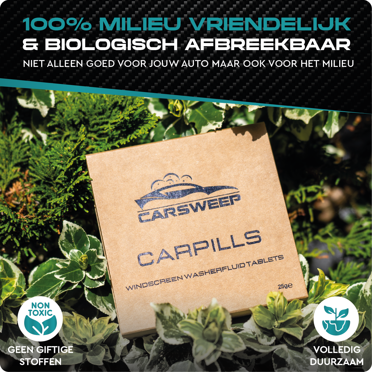CARPILLS RUITENWISSERVLOEISTOF