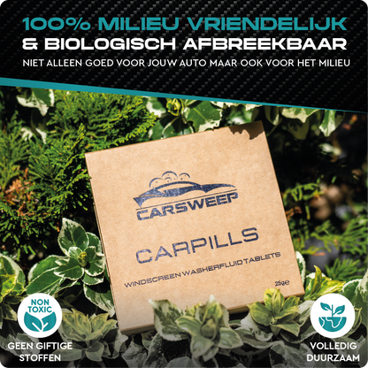 CARPILLS RUITENWISSERVLOEISTOF