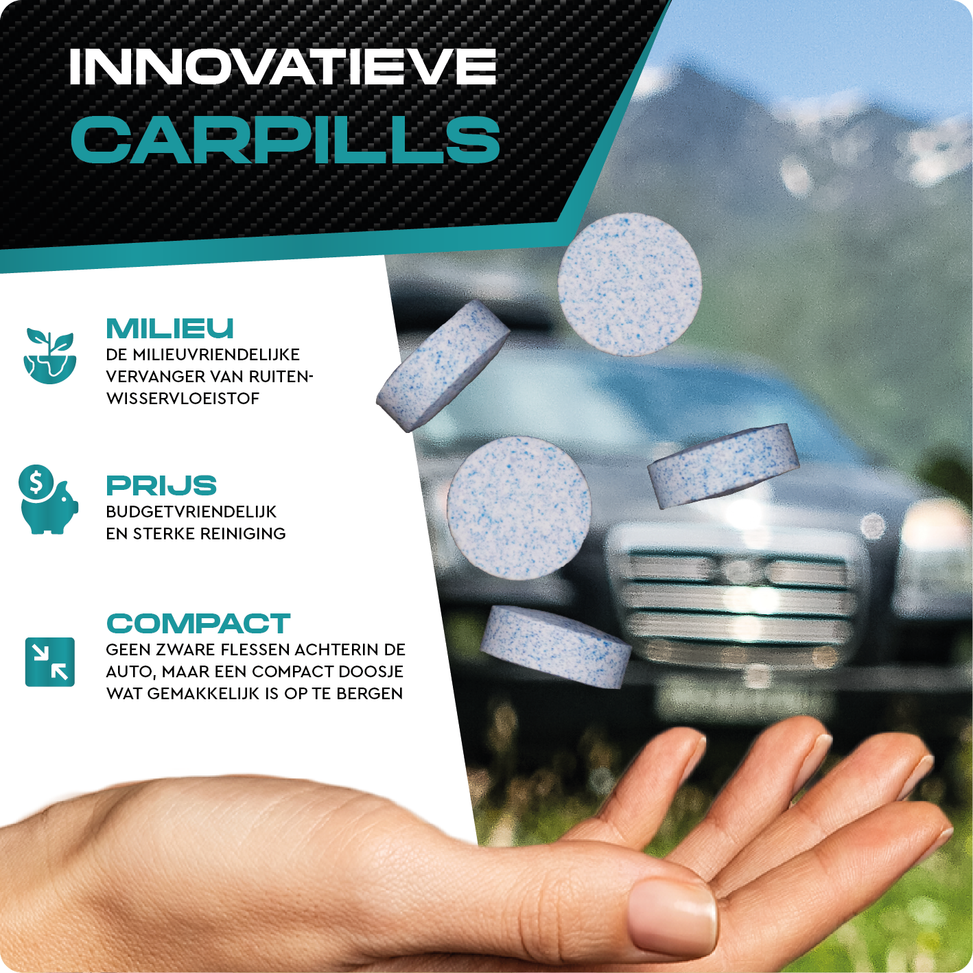 CARPILLS RUITENWISSERVLOEISTOF